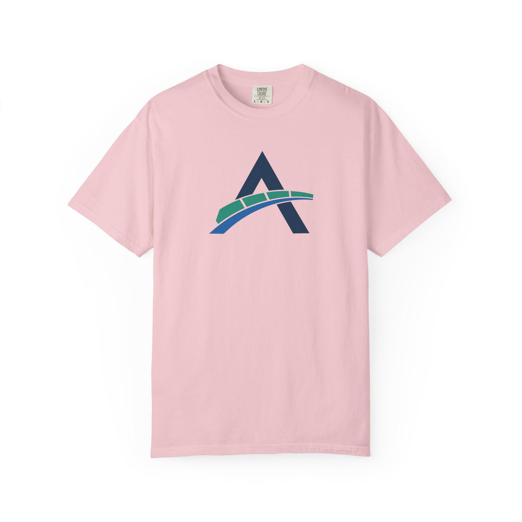 Amusement Source Unisex Garment-Dyed T-Shirt