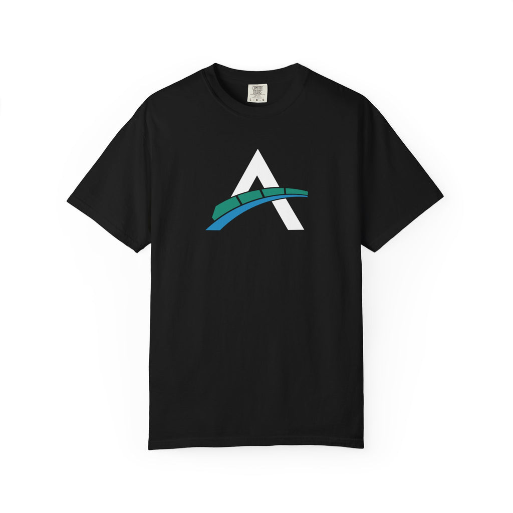 Amusement Source Unisex Garment-Dyed T-Shirt